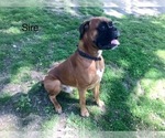 Small #3 Breeder Profile image