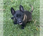 Small #22 Breeder Profile image