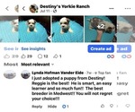 Small #12 Breeder Profile image