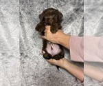 Small #88 Breeder Profile image