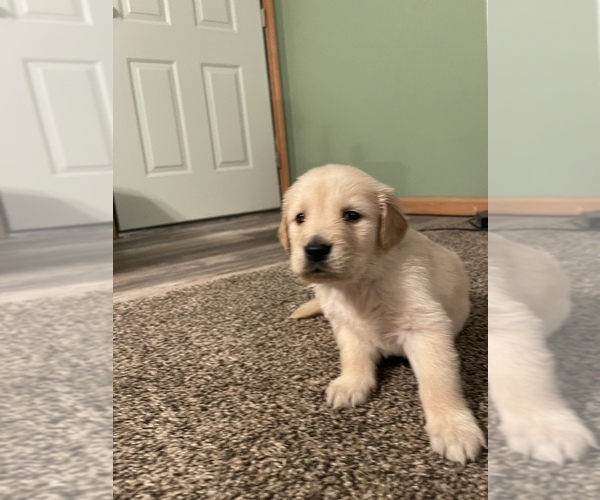 Medium Photo #1  Breeder Profile in LAMAR, CO, USA