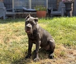 Small #3 Breeder Profile image