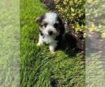 Small #1 Breeder Profile image