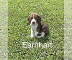 Small #8 Breeder Profile image