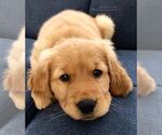Small #3 Breeder Profile image