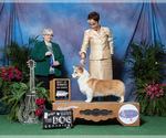 Small #3 Breeder Profile image