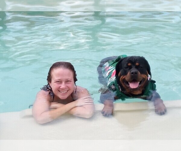 Medium Photo #2  Breeder Profile in REEVESVILLE, SC, USA