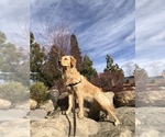Small #5 Breeder Profile image