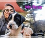 Small #7 Breeder Profile image