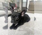 Small #16 Breeder Profile image