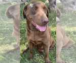 Small #24 Breeder Profile image