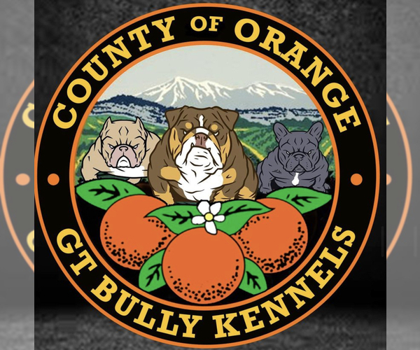 Medium Photo #1  Breeder Profile in GARDEN GROVE, CA, USA
