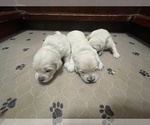 Small #14 Breeder Profile image