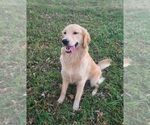 Small #5 Breeder Profile image