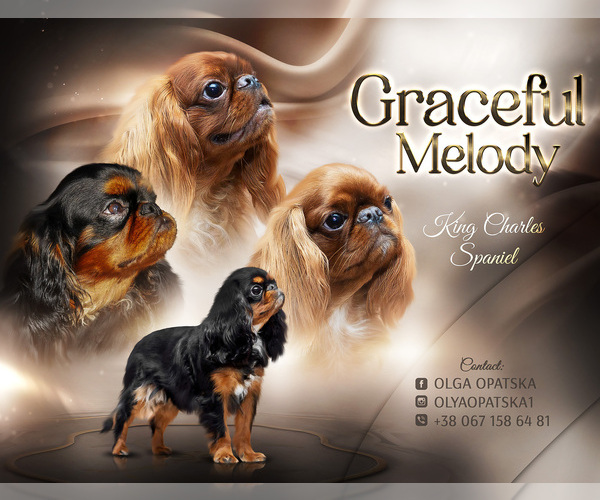 Medium Photo #1  Breeder Profile in Zhytomyr, Zhytomyr, Ukraine