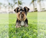 Small #10 Breeder Profile image