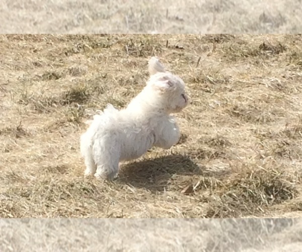 Medium Photo #1  Breeder Profile in RUBICON, WI, USA