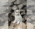 Small #25 Breeder Profile image