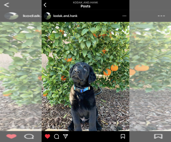 Medium Photo #13  Breeder Profile in TEMECULA, CA, USA