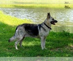 Small #8 Breeder Profile image