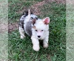 Small #2 Breeder Profile image