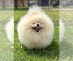 Small #19 Breeder Profile image