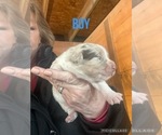 Small #1 Breeder Profile image
