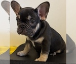 Small #3 Breeder Profile image