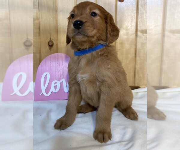 Medium Photo #1  Breeder Profile in DALLAS, WI, USA