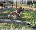 Small #2 Breeder Profile image