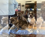Small #8 Breeder Profile image
