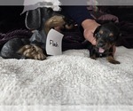Small #21 Breeder Profile image