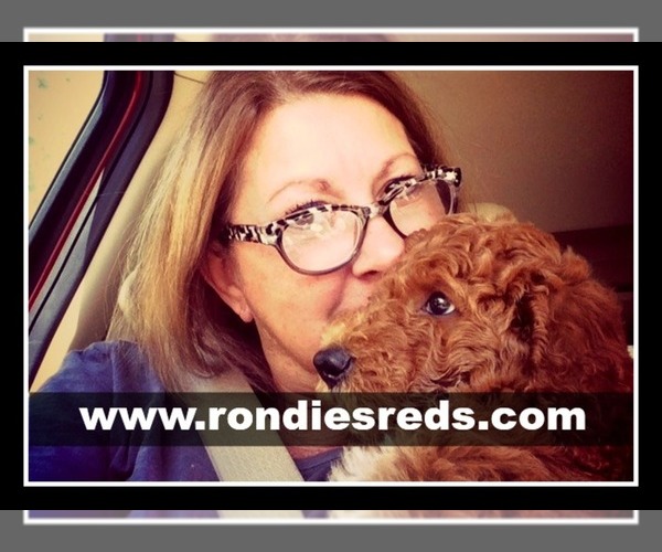 Medium Photo #1  Breeder Profile in THOMPSONVILLE, IL, USA