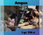 Small #20 Breeder Profile image