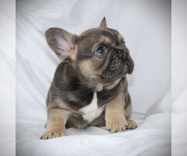 Medium Photo #1  Breeder Profile in HASTINGS, MN, USA