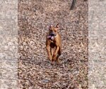 Small #11 Breeder Profile image