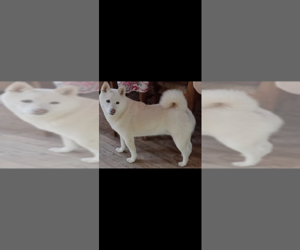 Medium Photo #1  Breeder Profile in MAXWELL, NM, USA