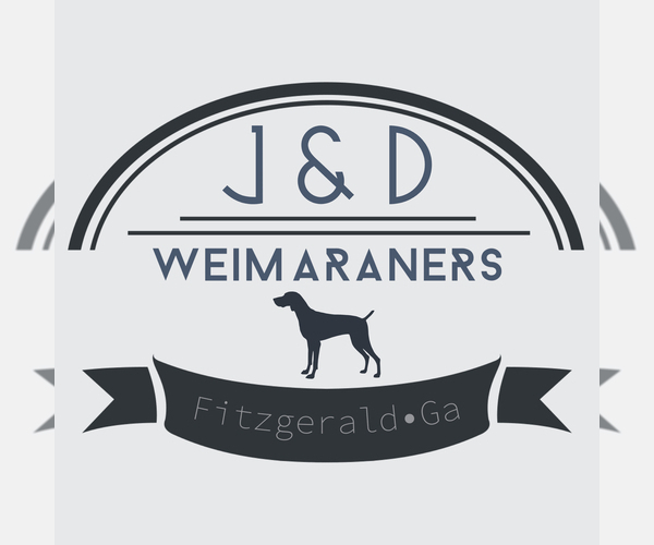 Medium Photo #1  Breeder Profile in FITZGERALD, GA, USA