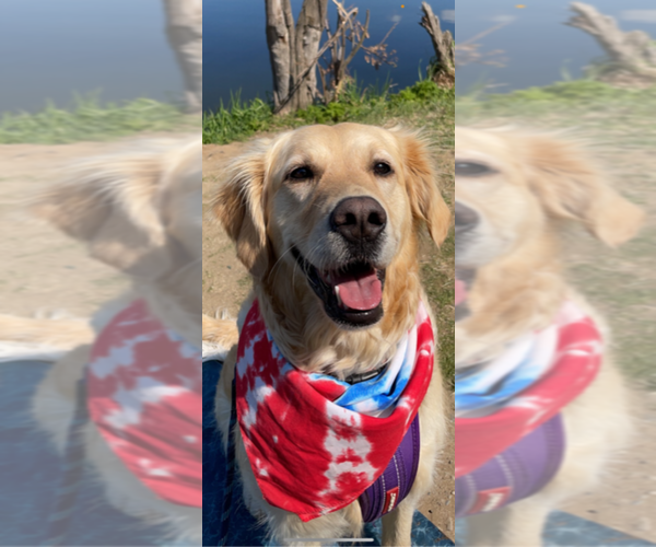 Medium Photo #1  Breeder Profile in SPOKANE, WA, USA