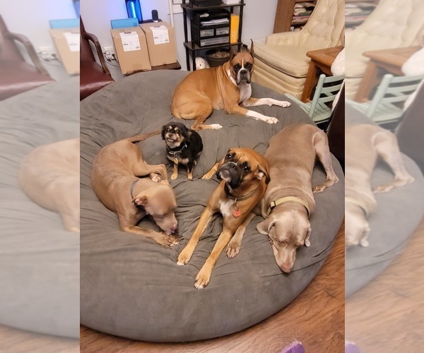 Medium Photo #1  Breeder Profile in CONWAY, SC, USA