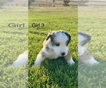 Small #5 Breeder Profile image