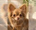 Small #14 Breeder Profile image