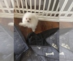 Small #3 Breeder Profile image