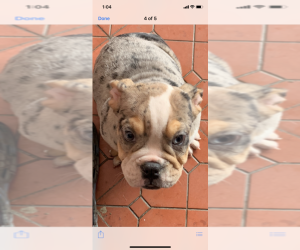Medium Photo #1  Breeder Profile in BETHEL, WA, USA