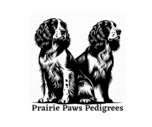 English Springer Spaniel Dog Breeder near HALSTEAD, KS, USA