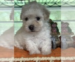 Small #3 Breeder Profile image