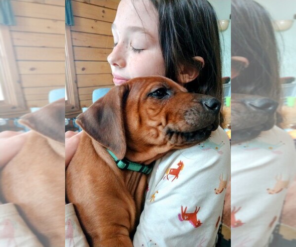 Medium Photo #1  Breeder Profile in CHILOQUIN, OR, USA