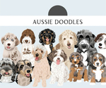 Small #1 Breeder Profile image