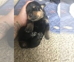Small #5 Breeder Profile image