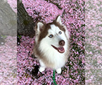 Small #31 Breeder Profile image